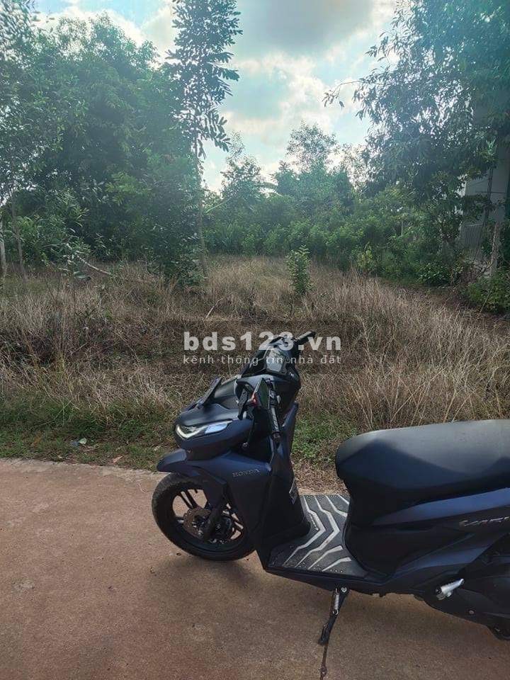 Cần bán đất mặt tiền đường bê tông liên hệ 0353797737, giá bán 1.2 tỷ, bớt lộc