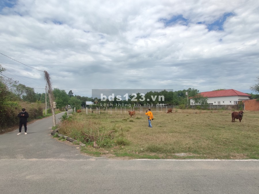 Đất Mt Phạm Thị Thàng, Củ Chi. DT 5X19. Giá 1 tỷ 250. Chủ cần bán gấp. Thương lượng.