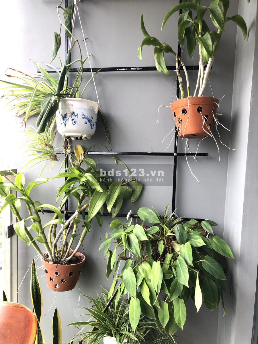 Không Gian Xanh Đẹp, Nội Thất Cao Cấp – One Verandah 55m2 1PN 13tr