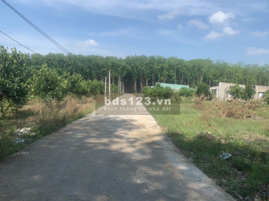 Cần ra gấp vài lô đất Minh Lập - Chơn Thành liên hệ 0947279939 pháp lý chính chủ, lhcc