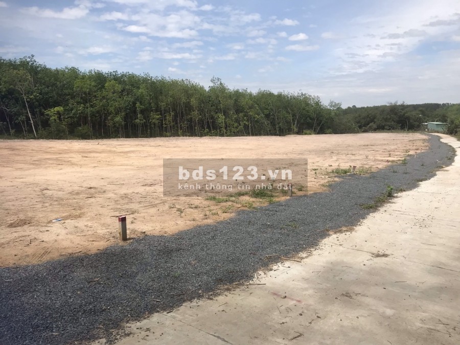 Cần bán gấp lô đất dt 3000m2, thổ cư sổ hồng riêng gần khu công nghiệp Minh Hưng, 500 triệu