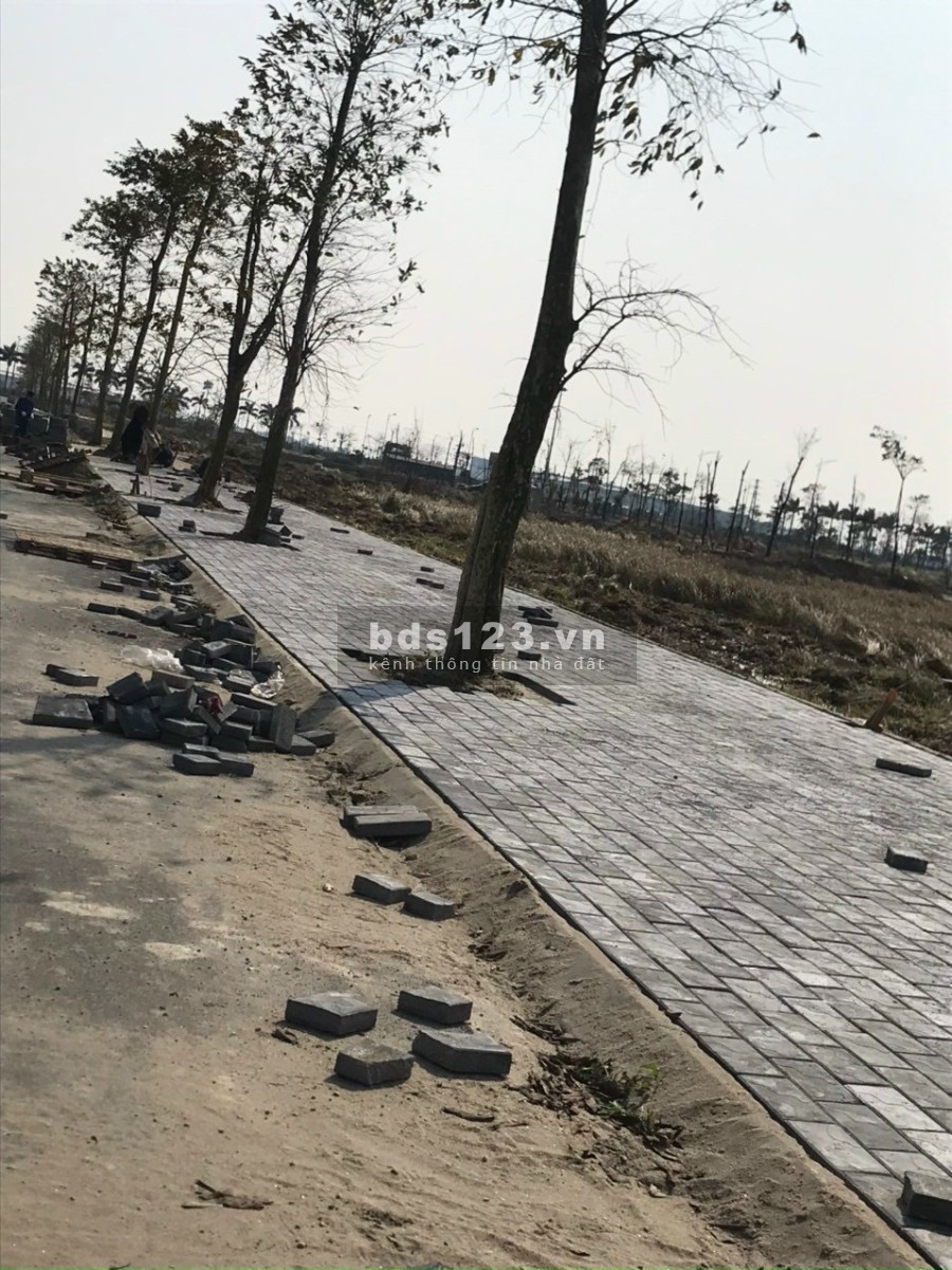 Dự án New City Phố Hưng Yên, đất đẹp giá rẻ, đầy đủ tiện ích, pháp lý chính chủ, sổ đỏ