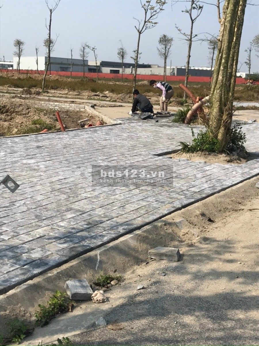 Dự án New City Phố Hưng Yên, đất đẹp giá rẻ, đầy đủ tiện ích, pháp lý chính chủ, sổ đỏ