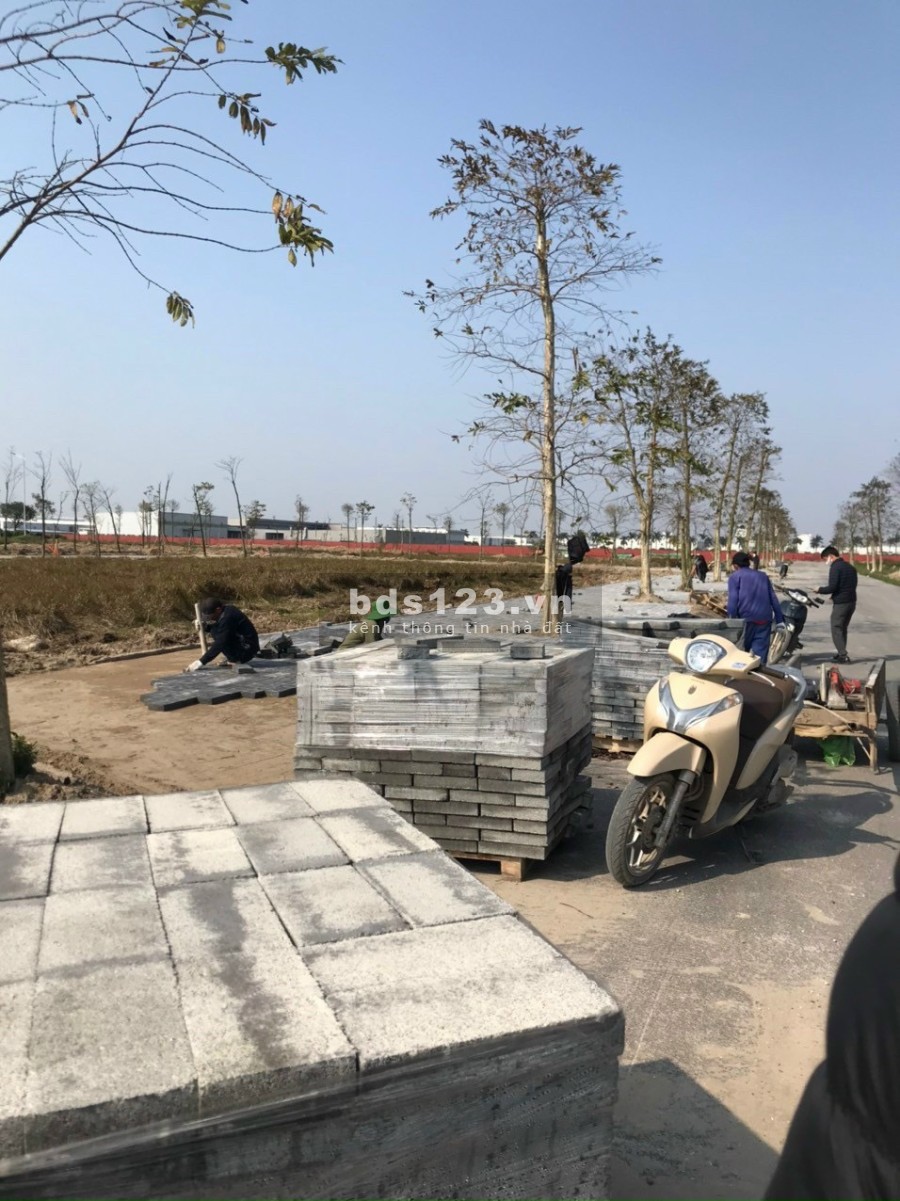 Dự án New City Phố Hưng Yên, đất đẹp giá rẻ, đầy đủ tiện ích, pháp lý chính chủ, sổ đỏ