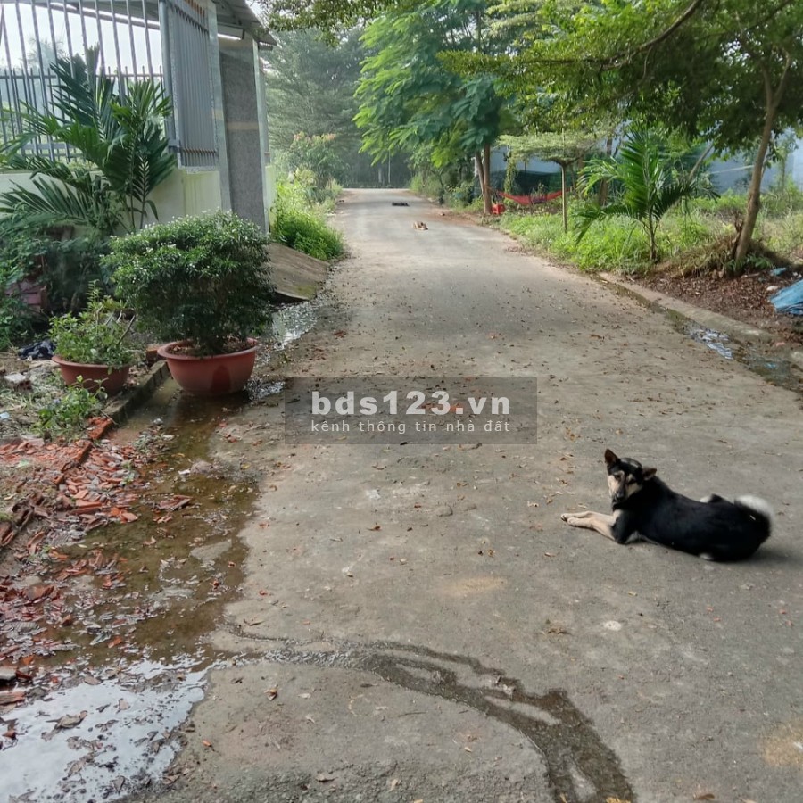 Nhà mình mở rộng xưởng ve chai nên muốn bán lại lô đất này, chính chủ mua bán trực tiếp
