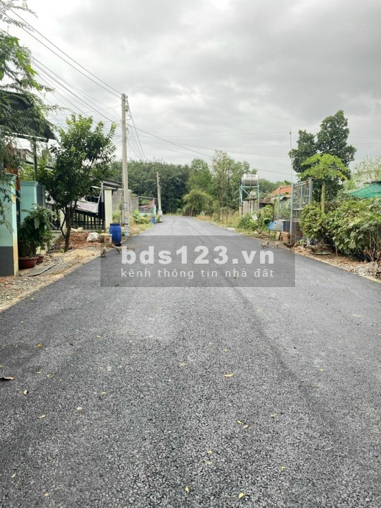 Gia Đình Tôi Có 2 Lô Đất mặt tiền đường bê tông 7m 100m2 5x20m và 125m2 (5x25m)