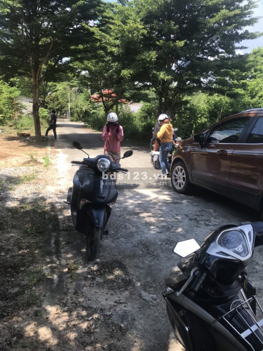 Bán Gấp 3 lô đất này để đưa cháu về quê ở hẳn với ông bà 3 sổ riêng vợ đứng tên (miễn cò)