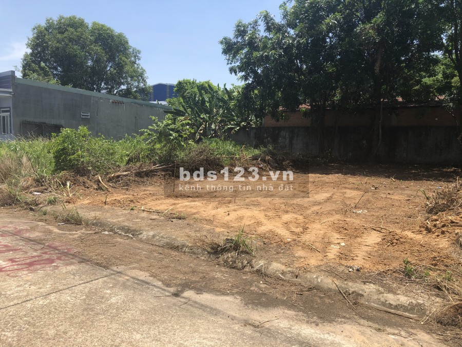 Gia Đình Tôi Có 2 Lô Đất mặt tiền đường bê tông 7m 100m2 5x20m và 125m2 (5x25m)