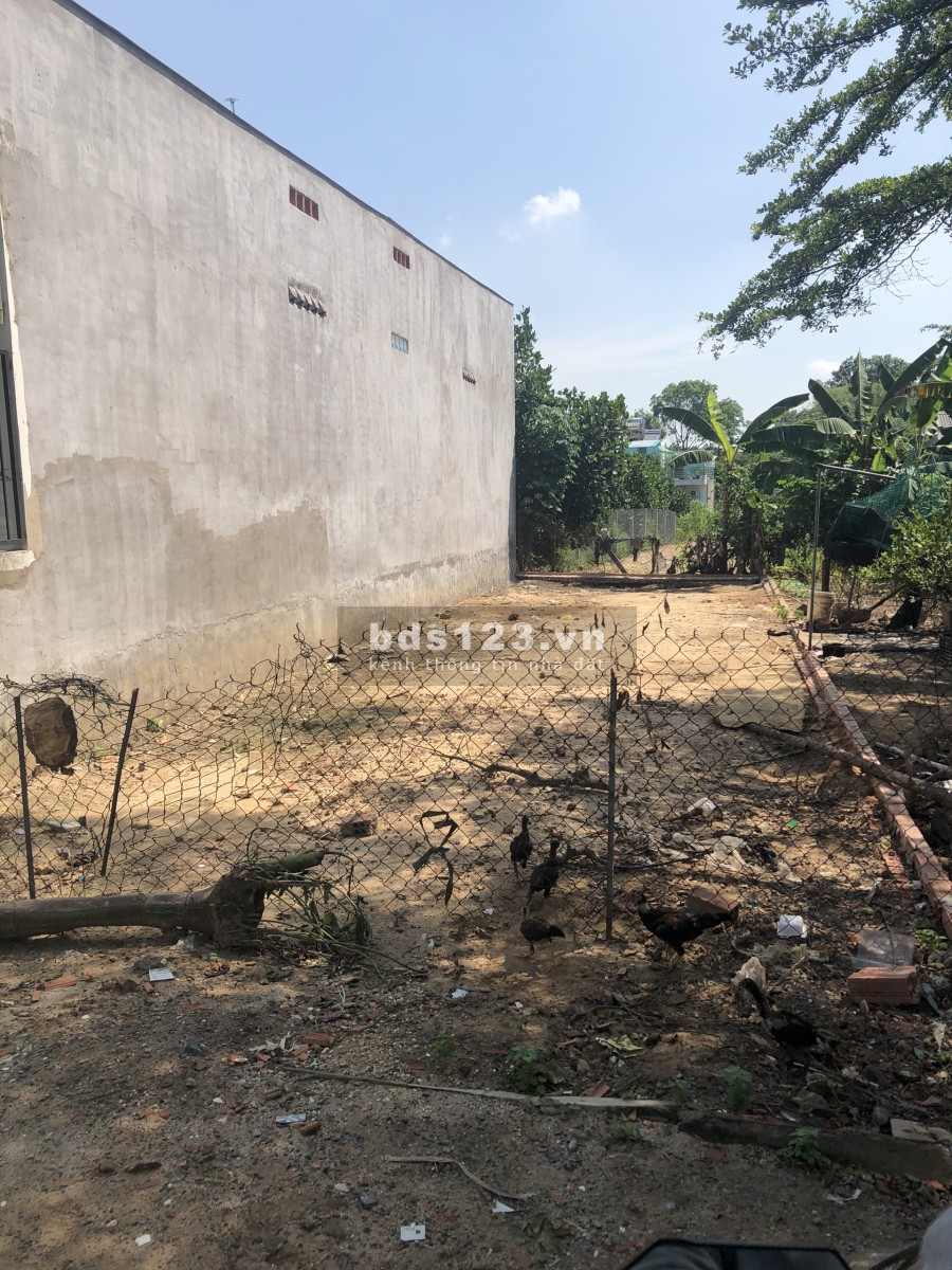 Gia Đình Tôi Có 2 Lô Đất mặt tiền đường bê tông 7m 100m2 5x20m và 125m2 (5x25m)