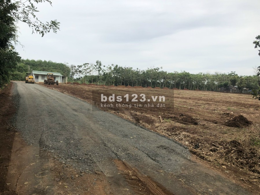 Đất Bình Phước giá rẻ khu đất phát triển tiện ích xung quanh đầy đủ, pháp lý chuẩn