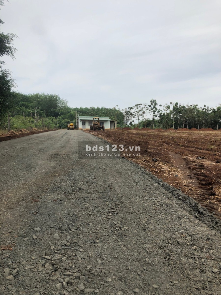 Đất Bình Phước giá rẻ khu đất phát triển tiện ích xung quanh đầy đủ, pháp lý chuẩn