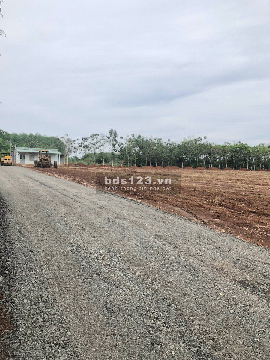 Đất Bình Phước giá rẻ khu đất phát triển tiện ích xung quanh đầy đủ, pháp lý chuẩn