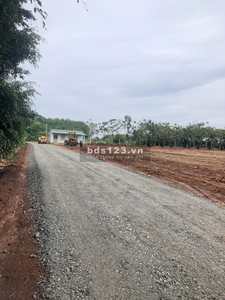 Đất Bình Phước giá rẻ khu đất phát triển tiện ích xung quanh đầy đủ, pháp lý chuẩn