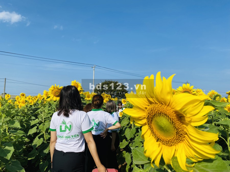 Sổ hồng hoàn công hỗ trợ vay bank lên tới 80% giá trị sản phẩm liên hệ 0385388591
