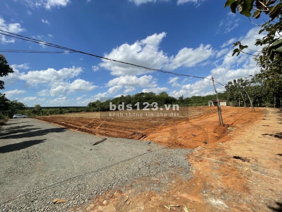 Đất Bình Phước giá rẻ khu đất phát triển tiện ích xung quanh đầy đủ, pháp lý chuẩn