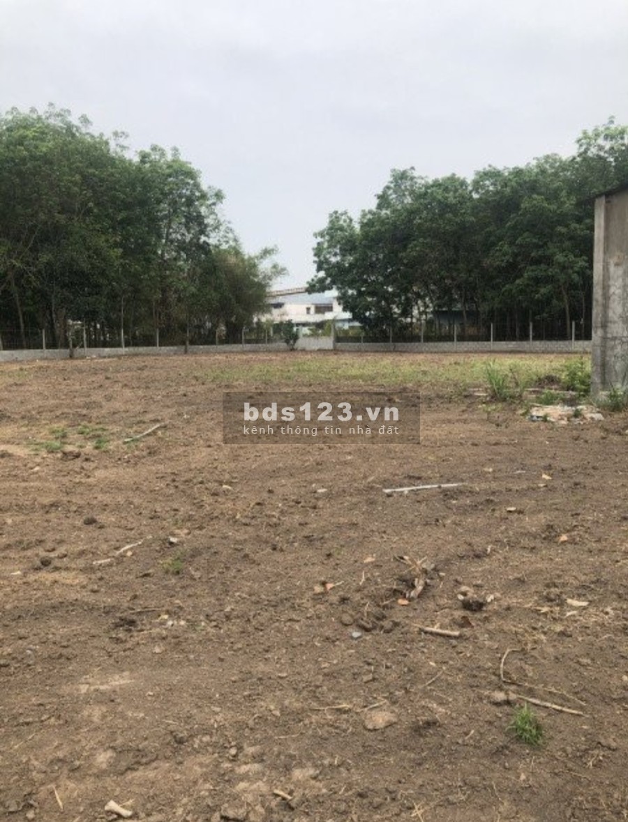 Đất ở thổ cư tại Phú Hòa Đông, Củ Chi, Hồ Chí Minh pháp lý chính chủ, bàn giao sổ ngay