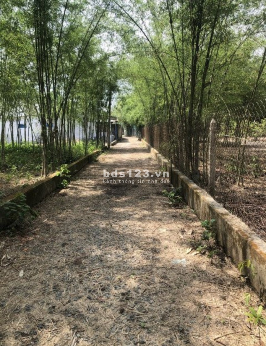 Đất ở thổ cư tại Phú Hòa Đông, Củ Chi, Hồ Chí Minh pháp lý chính chủ, bàn giao sổ ngay