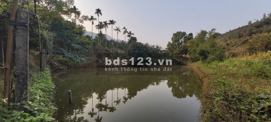 Tuyệt Phẩm Bám Suối,Có Sẵn Nhà, Quẩn Thể Nghỉ Dưỡng, Giao Thộng Thuận Tiện Tại Hòa Sơn Lương Sơn