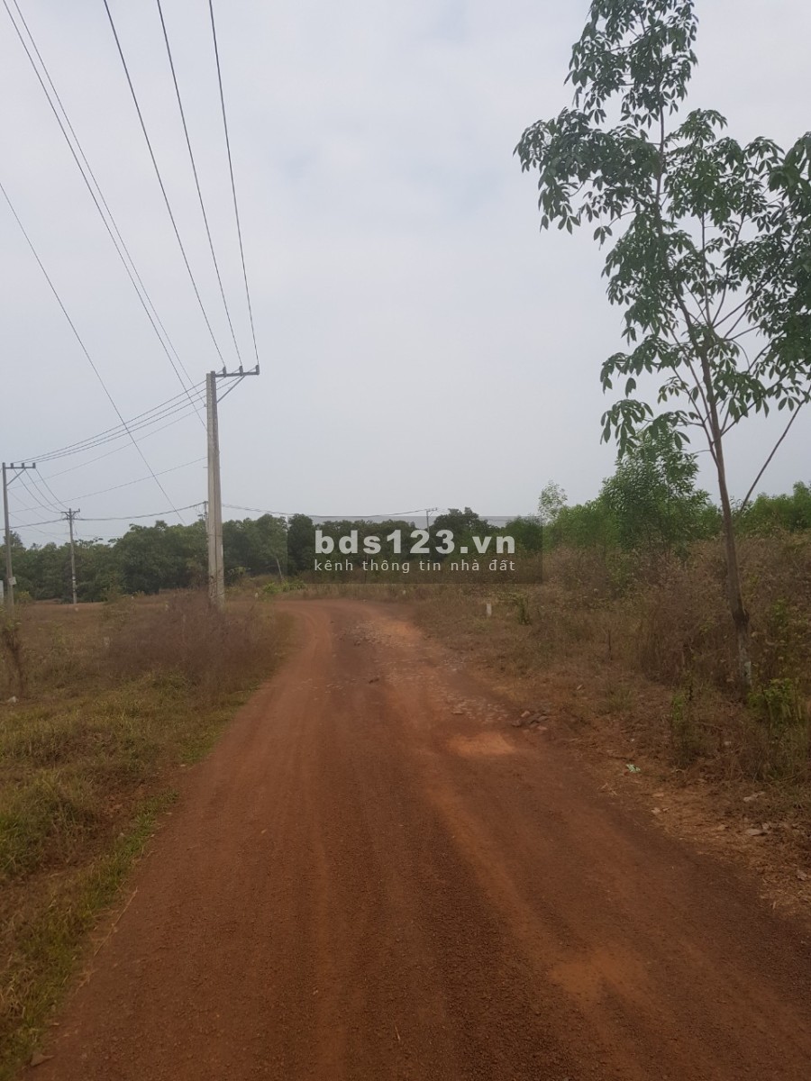 Giá rẻ 390 triệu/1000m2 tại Bình Phước, đất mặt tiền bán nhanh, phong thuỷ tốt lh 0854622229
