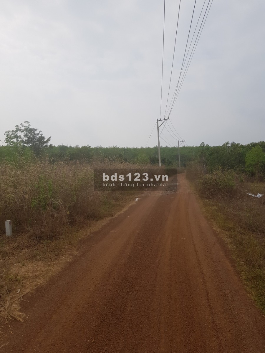 Giá rẻ 390 triệu/1000m2 tại Bình Phước, đất mặt tiền bán nhanh, phong thuỷ tốt lh 0854622229