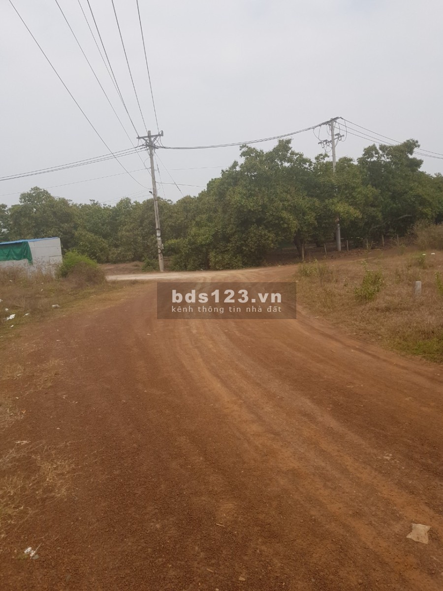 Giá rẻ 390 triệu/1000m2 tại Bình Phước, đất mặt tiền bán nhanh, phong thuỷ tốt lh 0854622229