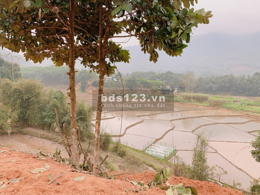Bán nhà nguyên căn chính chủ nhà cần bán gấp dtsd 3662m2 đất giá bán chỉ với 2,9 tỷ