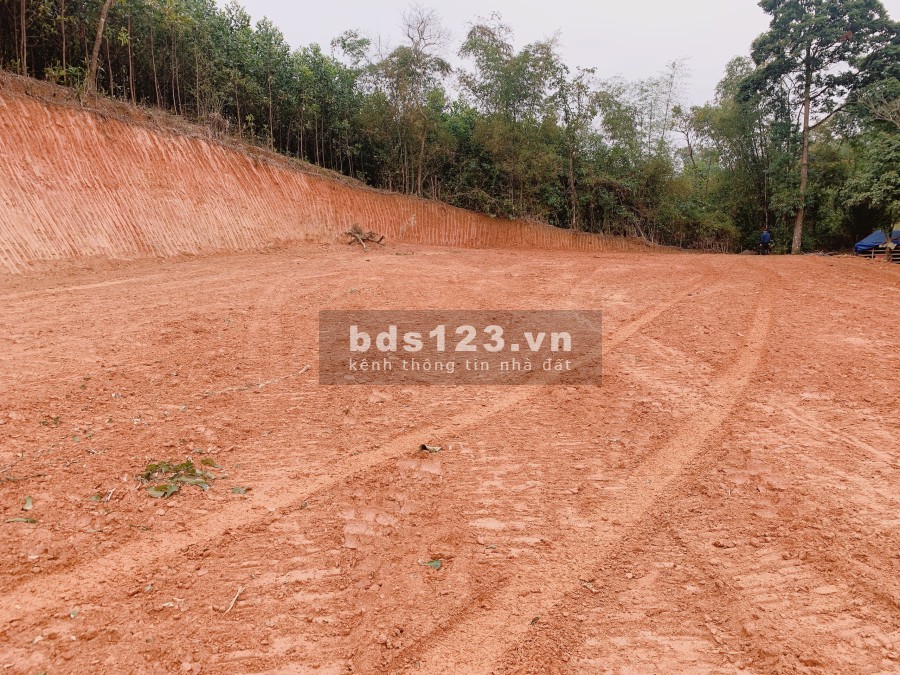 Bán nhà nguyên căn chính chủ nhà cần bán gấp dtsd 3662m2 đất giá bán chỉ với 2,9 tỷ