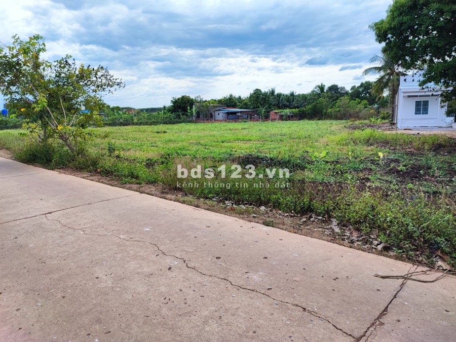 Đất vườn Đồng Nai cần bán 1000m2 đất vườn có 32m mặt tiền đường bê tông Vĩnh Tân, Vĩnh Cửu
