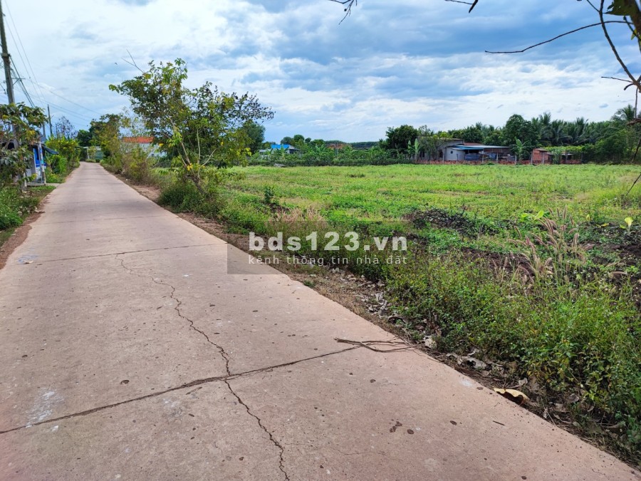 Đất vườn Đồng Nai cần bán 1000m2 đất vườn có 32m mặt tiền đường bê tông Vĩnh Tân, Vĩnh Cửu