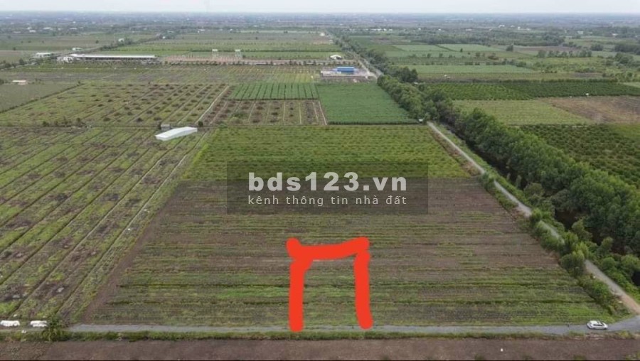 Đất tân thành thủ thừa Long An khu an ninh, yên tĩnh, giá chỉ 649 triệu/thương lượng