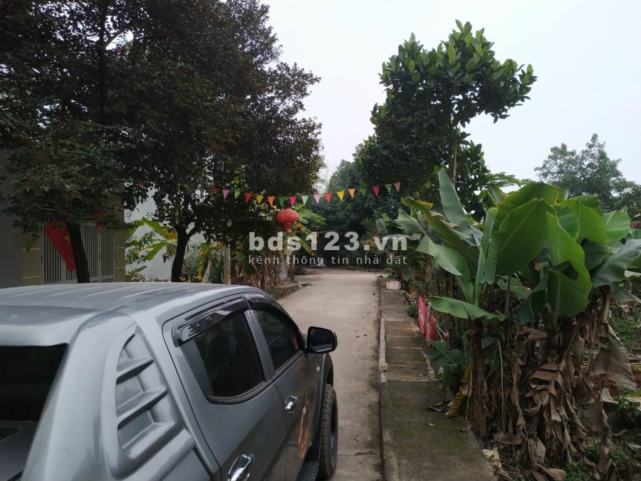 Chính chủ cần tiền bán ô đất giãn dân P. Trung Sơn Trầm, Thị Xã Sơn Tây, TP. Hà Nội.