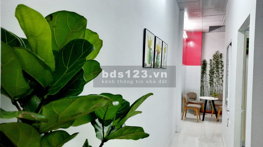 Bán nhà nguyên căn gần biển bãi sau Thuỳ Vân, thành phố Vũng tài, giá tốt 6.1 tỷ, lhcc