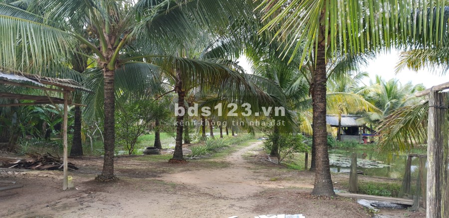 Bán đất Phú Quốc, mặt tiền đường chùa ông suối đá, sổ hồng chính chủ lh 0946780440