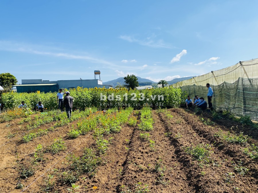 Bán Đất Ven Đà Lạt diện tích 5x37 (184m2) Giá Chỉ 610 triệu sổ riêng thổ cư diện 80m2