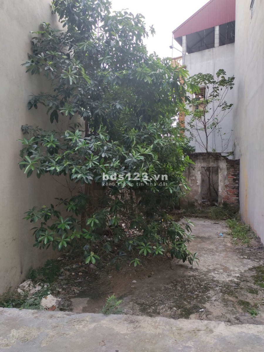 Bán đất chính chủ tại thôn Thượng Thụy, xã Đức Thượng, huyện Hoài Đức