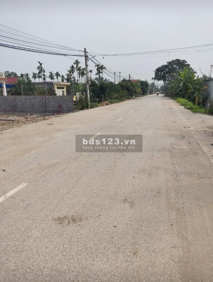 Nơi trú ẩn cho dòng tiền với tầm tài chính chỉ từ 700 triệu đồng tại Bát Trang - An Lão