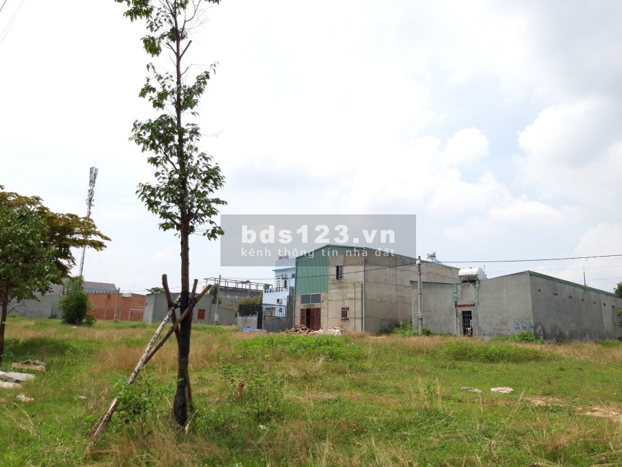 Sổ hồng chính chủ dtsd 450m2, đất thổ cư, mt đường nhựa thông siêu thị Big C Go, KCN Việt-Sing