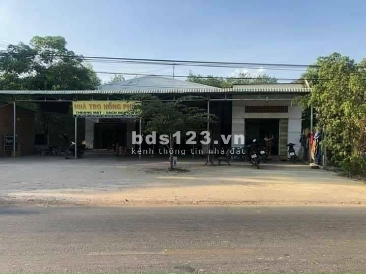 Đất thanh lý nằm cạnh hai khu công nghiệp lớn Bàu Bàng mở rộng và cây trường