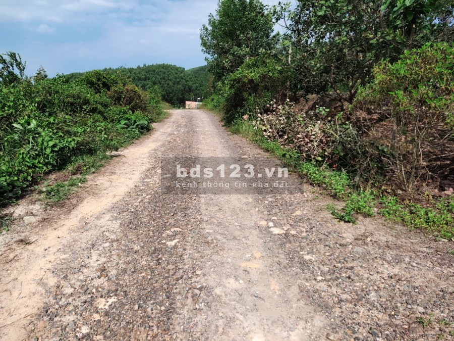 Bán đất vườn giá rẻ có 400m2 thổ cư, pháp lý chính chủ, bàn giao công chứng sang tên ngay