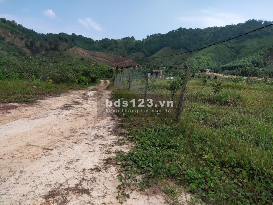 Bán đất vườn giá rẻ có 400m2 thổ cư, pháp lý chính chủ, bàn giao công chứng sang tên ngay