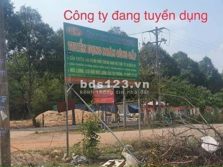 Đất thanh lý nằm cạnh hai khu công nghiệp lớn Bàu Bàng mở rộng và cây trường