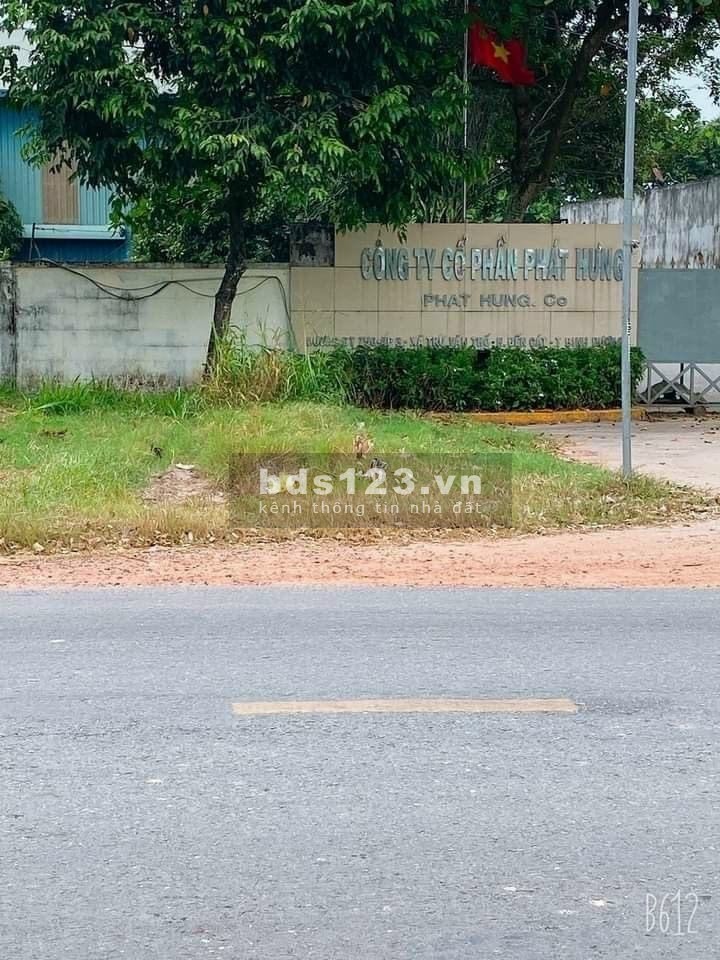 Đất thanh lý nằm cạnh hai khu công nghiệp lớn Bàu Bàng mở rộng và cây trường