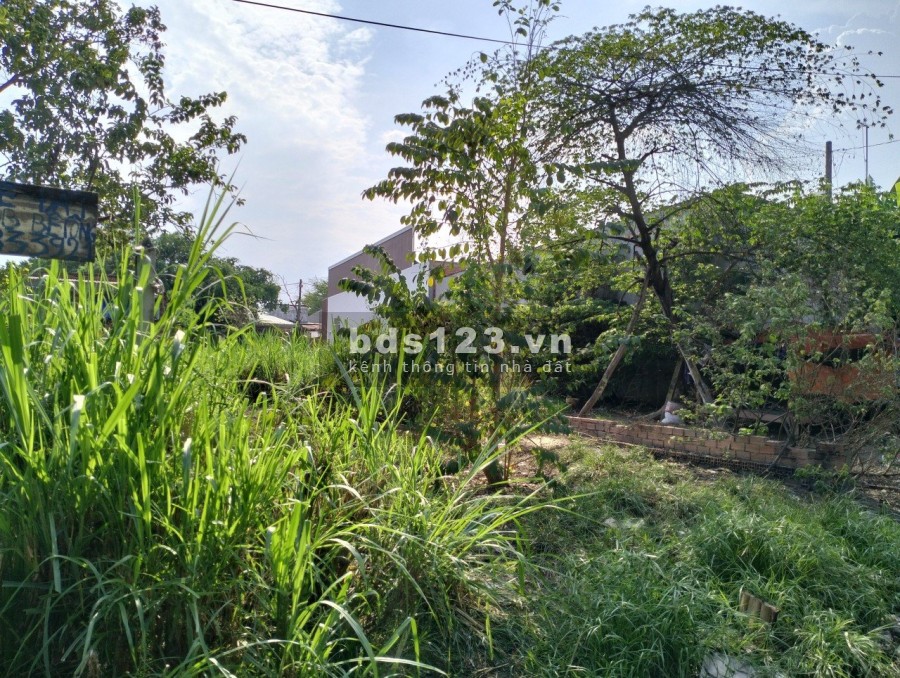 Đấy đẹp gần bệnh viện Xuyên Á, Tân Phú Trung, huyện Củ Chi, thổ cư 100%, pháp lý rõ ràng