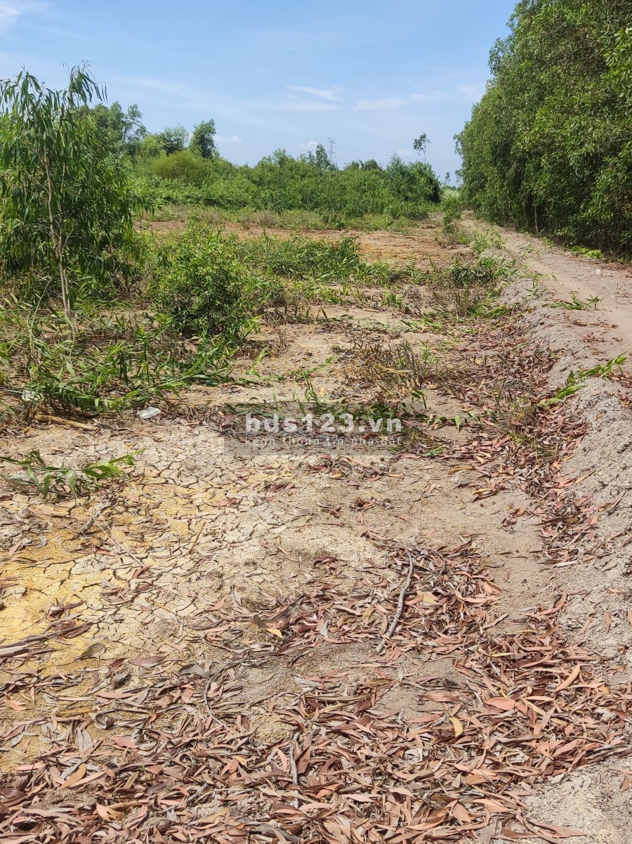 Bán đất chính chủ, sổ hồng đầy đủ giá tốt đầu tư, làm việc chính chủ, bàn giao sổ ngay