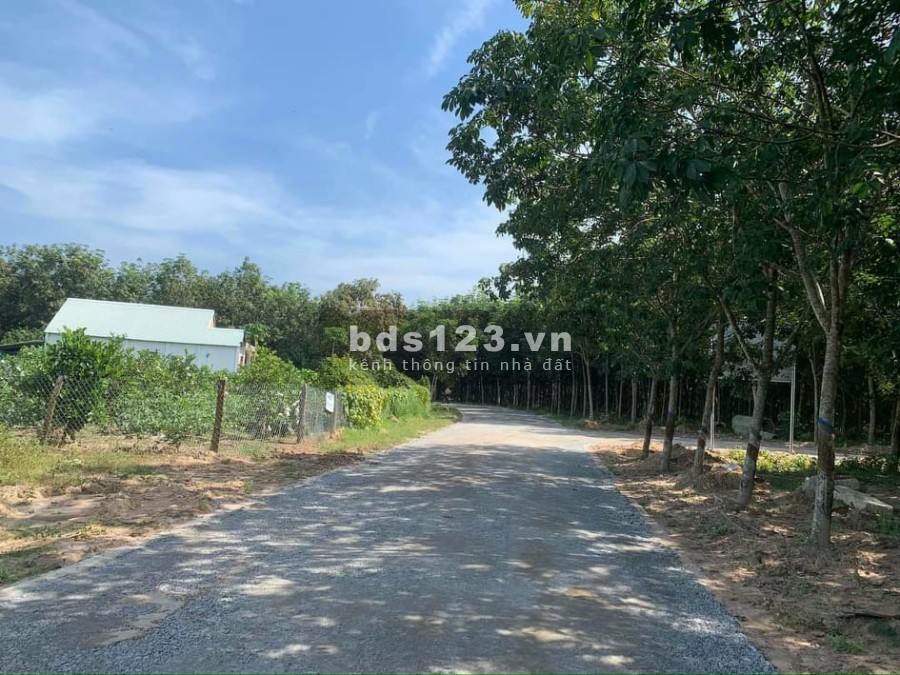 Đất Chánh Phú Hòa, tx.Bến Cát, sổ hồng riêng sang tên công chứng ngay, có ngân hàng hỗ trợ 50%