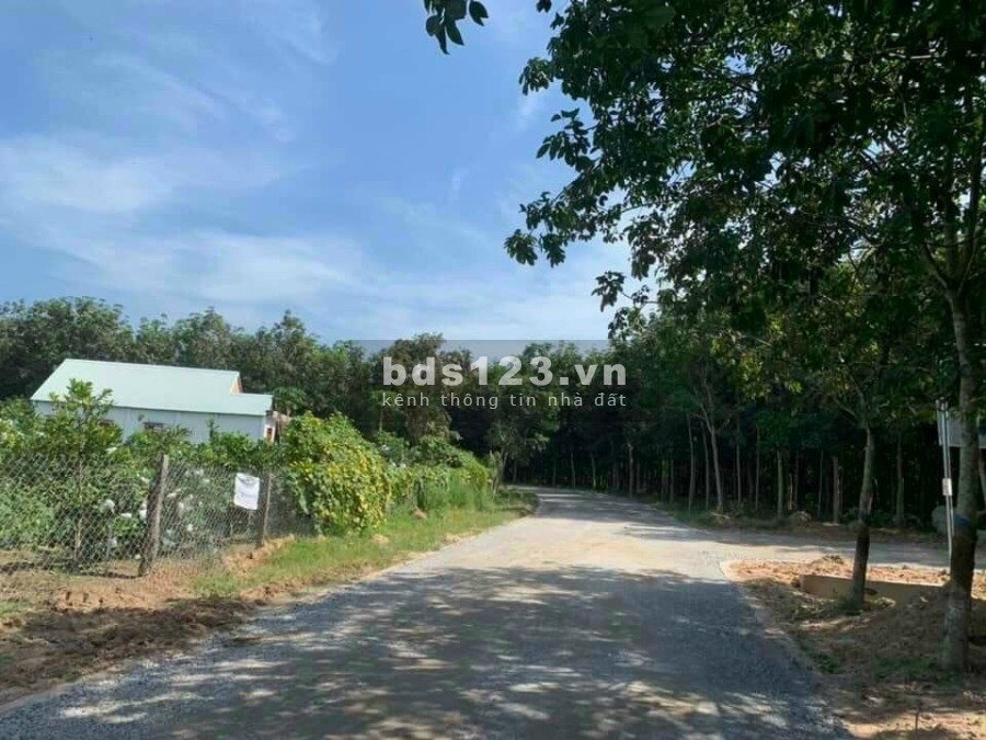 Đất Chánh Phú Hòa, tx.Bến Cát, sổ hồng riêng sang tên công chứng ngay, có ngân hàng hỗ trợ 50%