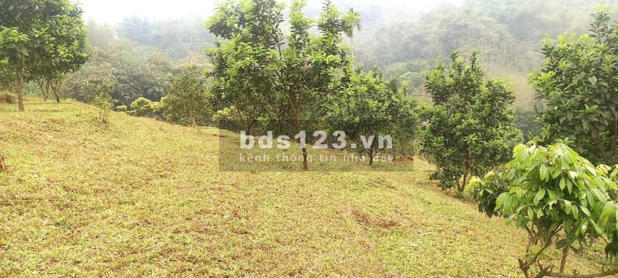 Siêu phẩm nghĩ dưỡng Hoà Bình, pháp lý rõ ràng, giá tốt đầu tư sinh lời cao, vị trí đẹp