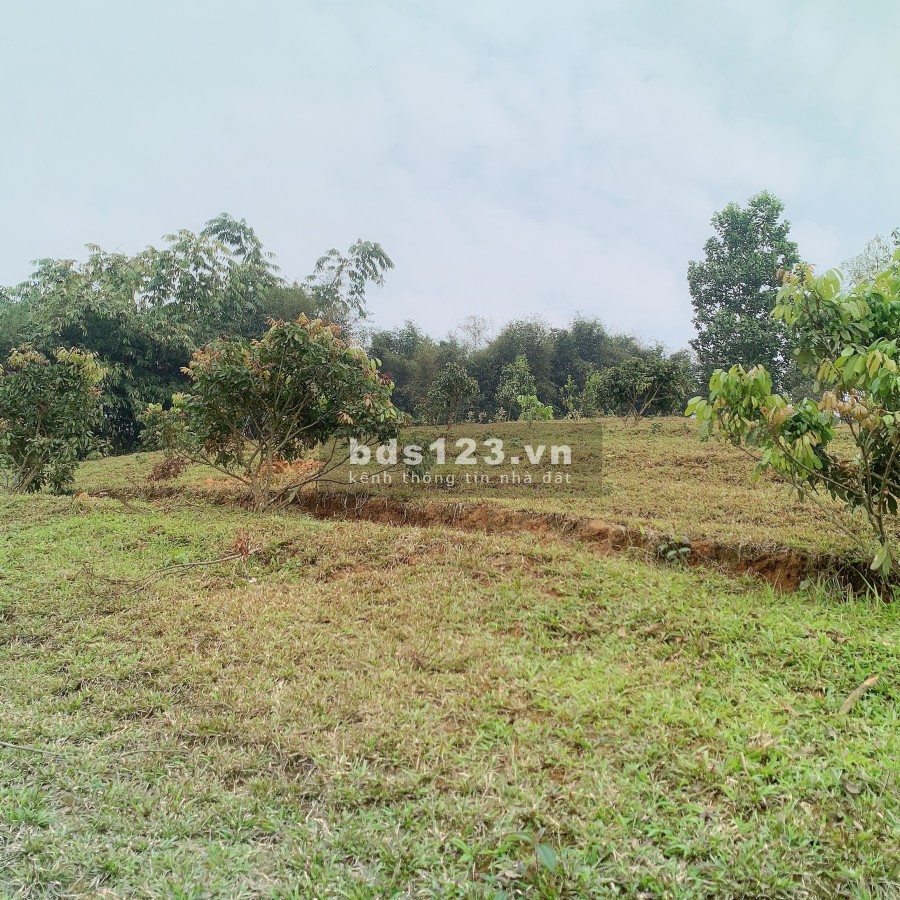 Siêu phẩm nghĩ dưỡng Hoà Bình, pháp lý rõ ràng, giá tốt đầu tư sinh lời cao, vị trí đẹp