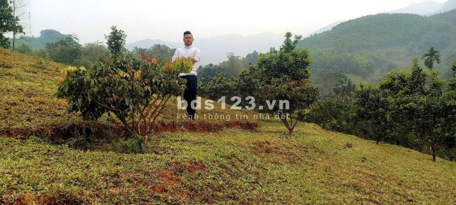 Siêu phẩm nghĩ dưỡng Hoà Bình, pháp lý rõ ràng, giá tốt đầu tư sinh lời cao, vị trí đẹp