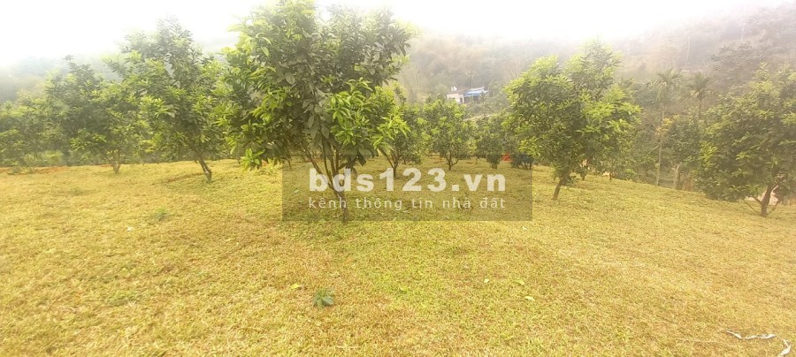 Siêu phẩm nghĩ dưỡng Hoà Bình, pháp lý rõ ràng, giá tốt đầu tư sinh lời cao, vị trí đẹp